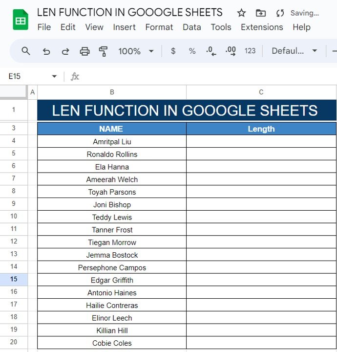 LEN Function in Google Sheets