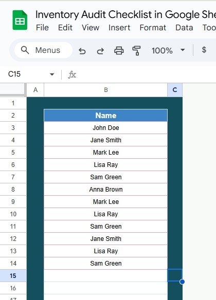 Inventory audit checklist