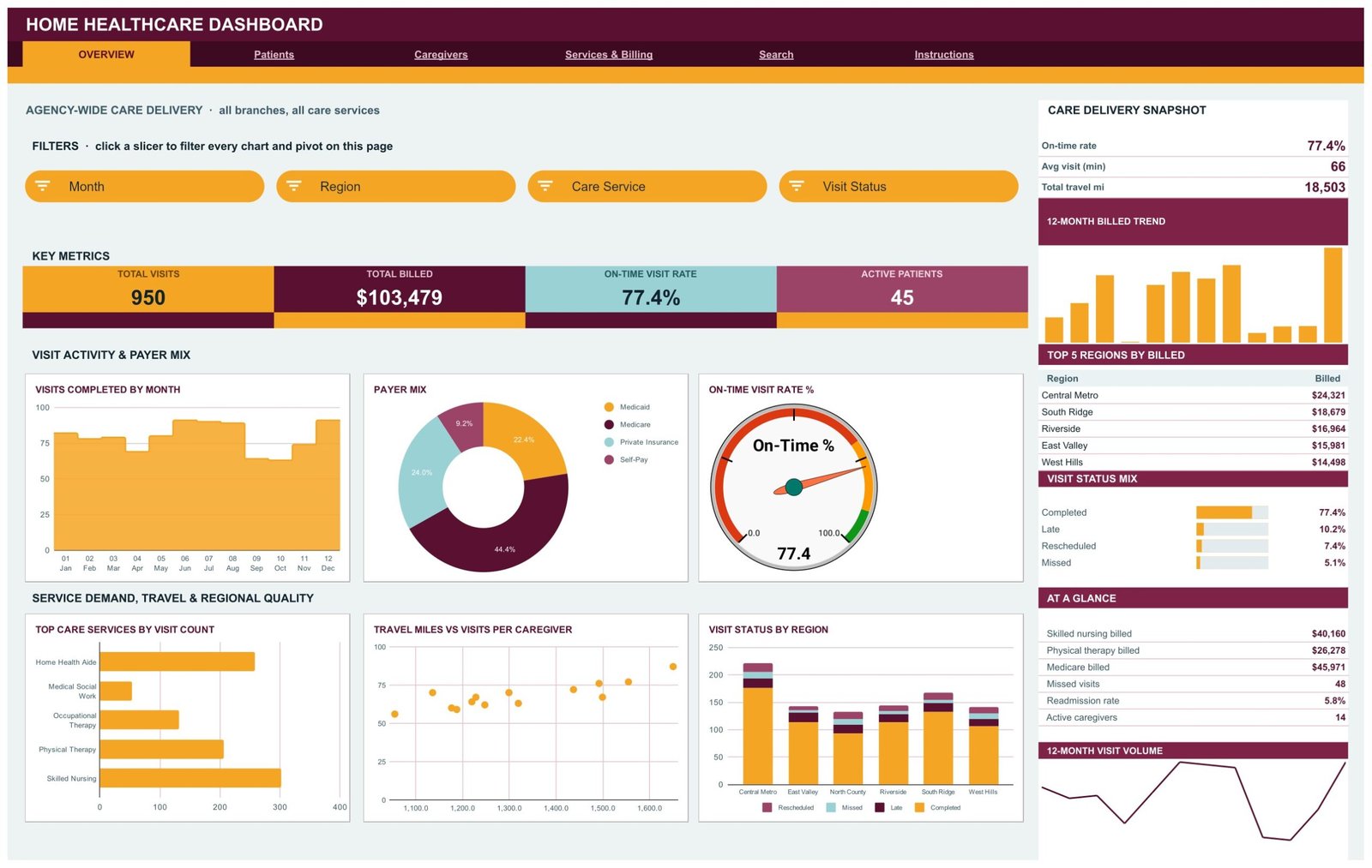 Home Healthcare Dashboard in Google Sheets Overview page