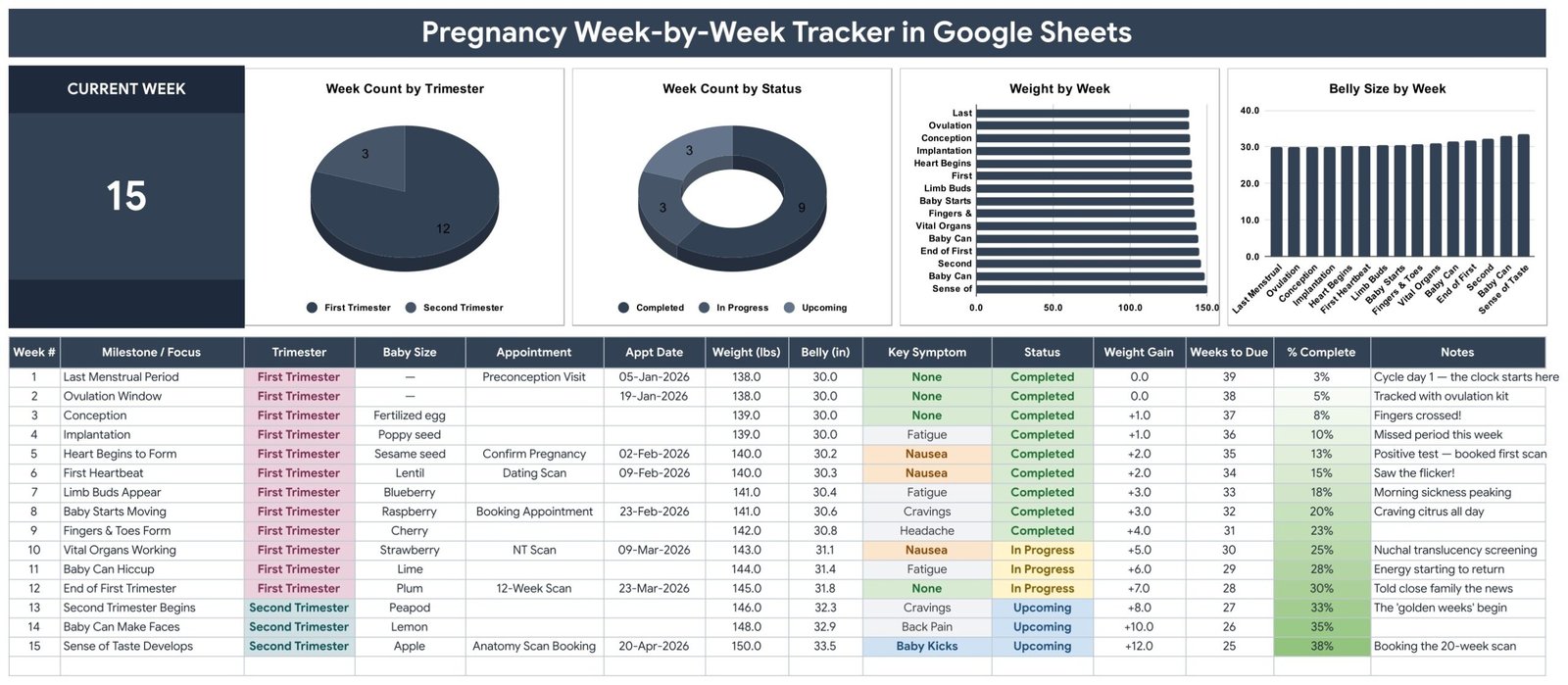 Pregnancy Week-by-Week Tracker in Google Sheets showing the Current Week card, four charts and the 14-column week log